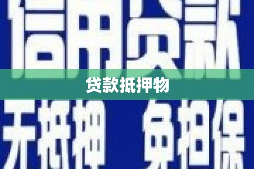金州贷款抵押物