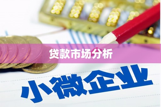 金州贷款市场分析