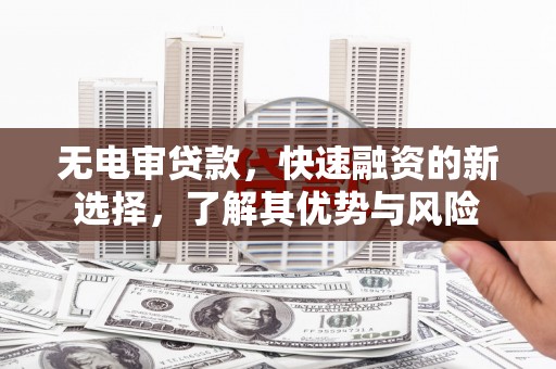 金州无电审贷款，快速融资的新选择，了解其优势与风险