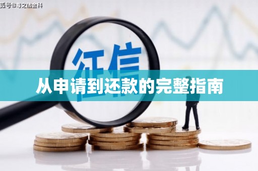 金州从申请到还款的完整指南