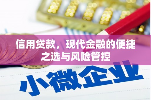 金州信用贷款，现代金融的便捷之选与风险管控