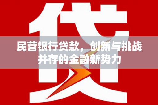 金州民营银行贷款，创新与挑战并存的金融新势力