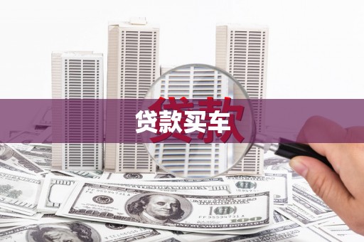 金州贷款买车