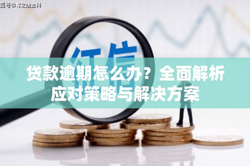 金州贷款逾期怎么办？全面解析应对策略与解决方案