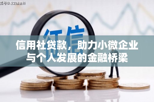 金州信用社贷款，助力小微企业与个人发展的金融桥梁