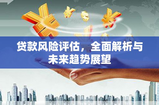 金州贷款风险评估，全面解析与未来趋势展望