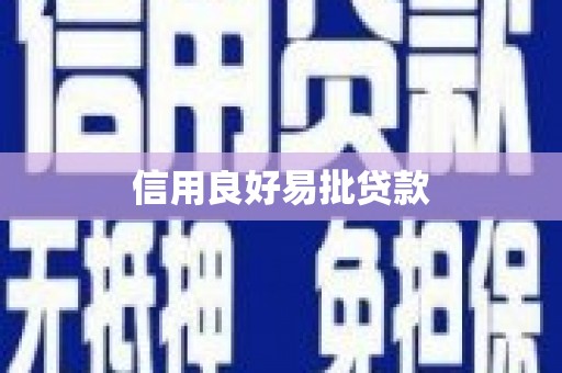 金州信用良好易批贷款