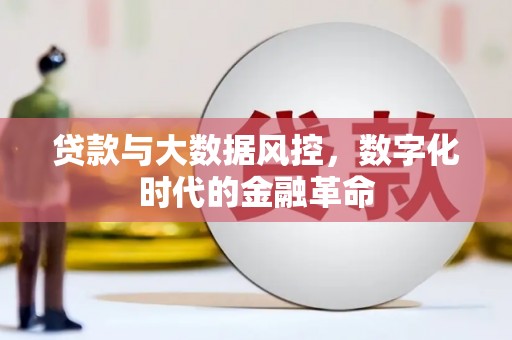 金州贷款与大数据风控，数字化时代的金融革命