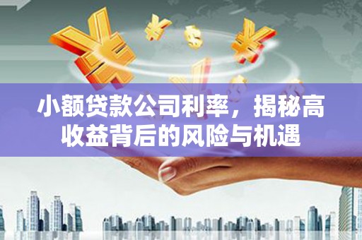 金州小额贷款公司利率，揭秘高收益背后的风险与机遇