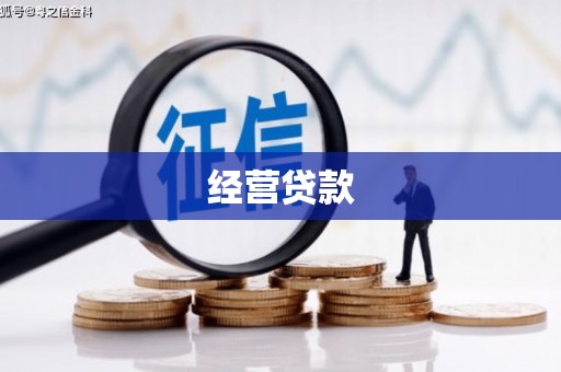 金州经营贷款