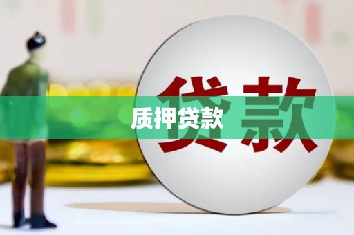 金州质押贷款
