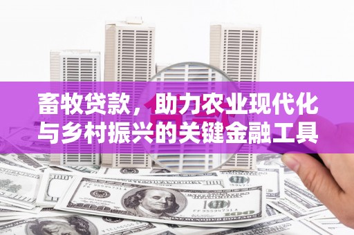 金州畜牧贷款，助力农业现代化与乡村振兴的关键金融工具
