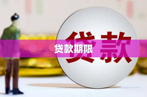 金州贷款期限