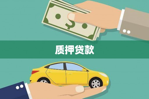 金州质押贷款