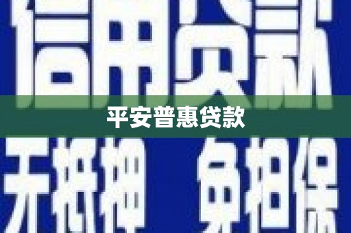 金州平安普惠贷款