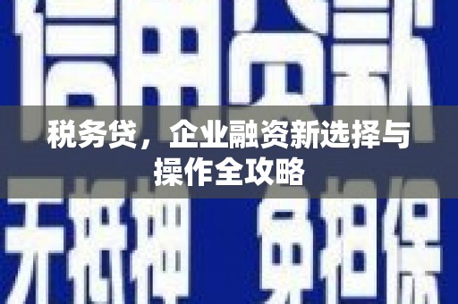 金州税务贷，企业融资新选择与操作全攻略