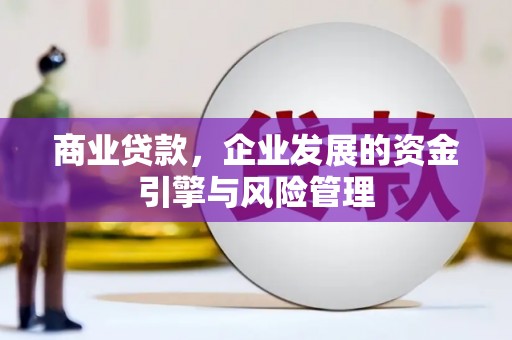 金州商业贷款，企业发展的资金引擎与风险管理