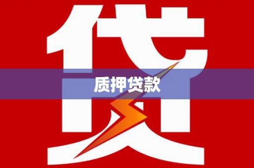 金州质押贷款
