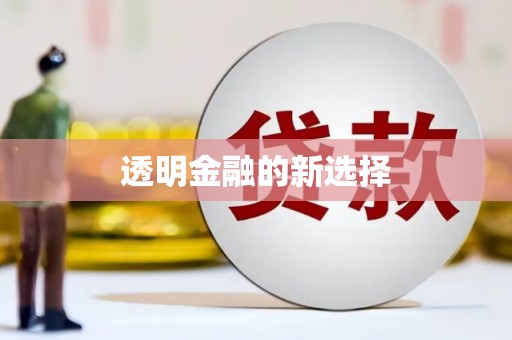 金州透明金融的新选择