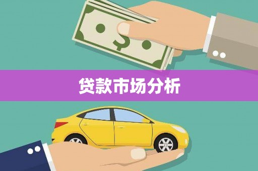 金州贷款市场分析