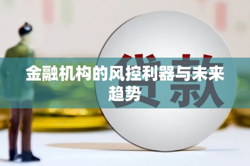 金州金融机构的风控利器与未来趋势