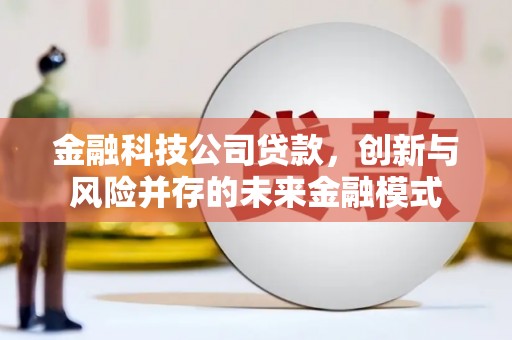金州金融科技公司贷款，创新与风险并存的未来金融模式