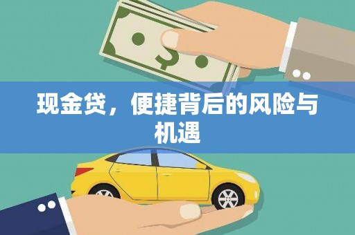 金州现金贷，便捷背后的风险与机遇