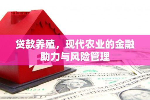 金州贷款养殖，现代农业的金融助力与风险管理