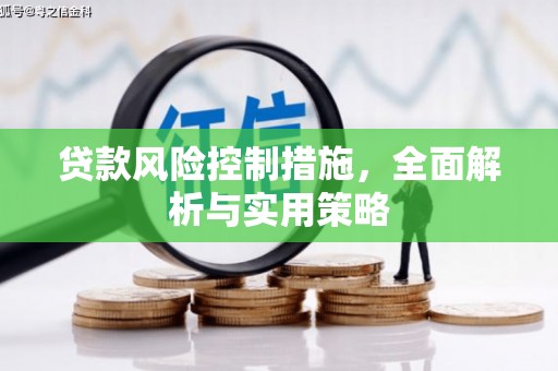 金州贷款风险控制措施，全面解析与实用策略