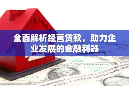 金州全面解析经营贷款，助力企业发展的金融利器