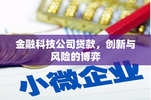 金州金融科技公司贷款，创新与风险的博弈