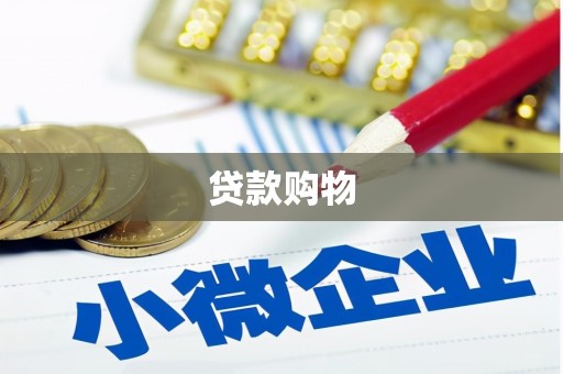 金州贷款购物