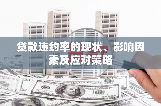 金州贷款违约率的现状、影响因素及应对策略