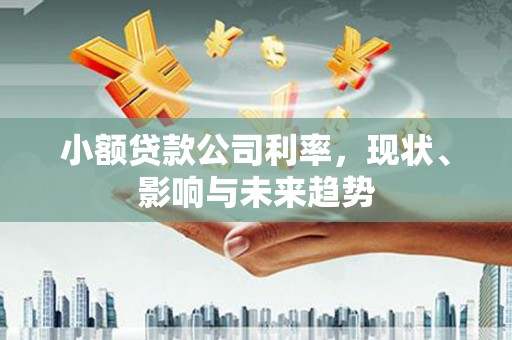 金州小额贷款公司利率，现状、影响与未来趋势