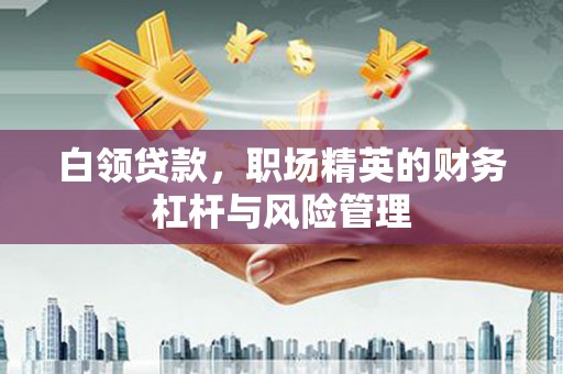 金州白领贷款，职场精英的财务杠杆与风险管理