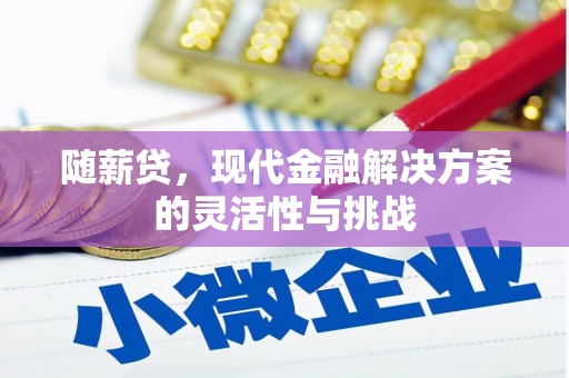 金州随薪贷，现代金融解决方案的灵活性与挑战