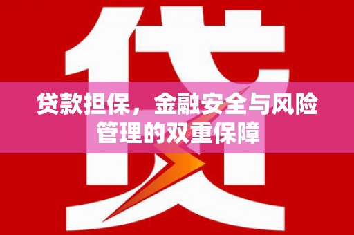 金州贷款担保，金融安全与风险管理的双重保障