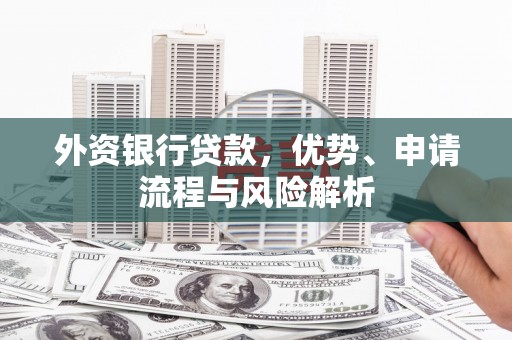 金州外资银行贷款，优势、申请流程与风险解析