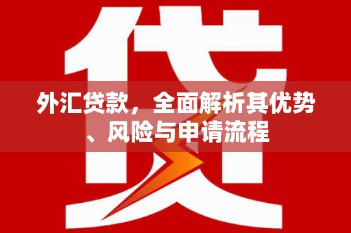 金州外汇贷款，全面解析其优势、风险与申请流程