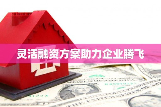 金州灵活融资方案助力企业腾飞