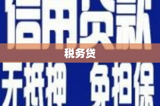金州税务贷