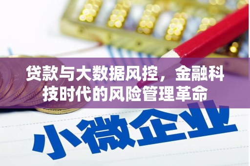 金州贷款与大数据风控，金融科技时代的风险管理革命