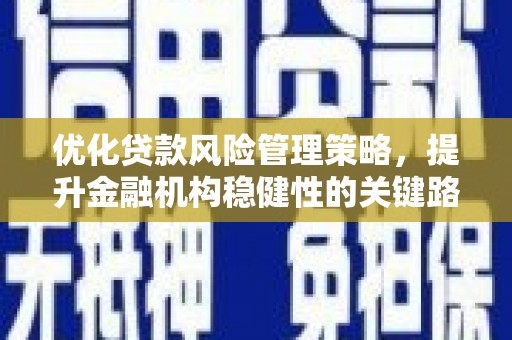 金州优化贷款风险管理策略，提升金融机构稳健性的关键路径