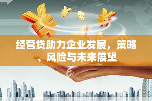 金州经营贷助力企业发展，策略、风险与未来展望
