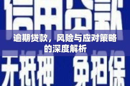 金州逾期贷款，风险与应对策略的深度解析