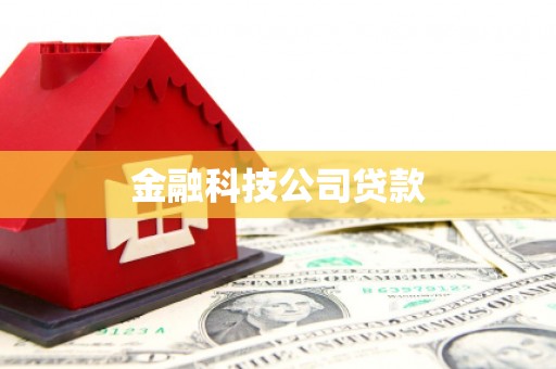 金州金融科技公司贷款