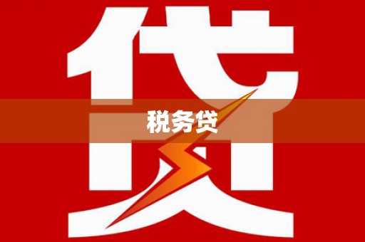 金州税务贷