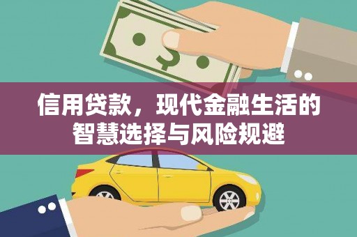 金州信用贷款，现代金融生活的智慧选择与风险规避