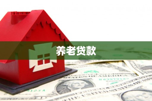 金州养老贷款