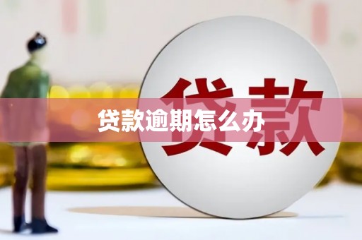 金州贷款逾期怎么办